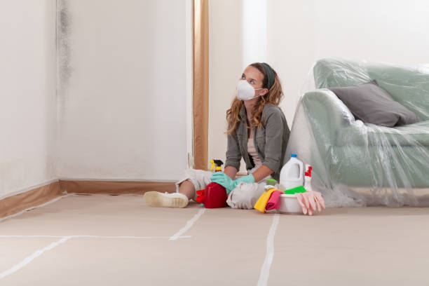 Mold Removal service in Mukilteo